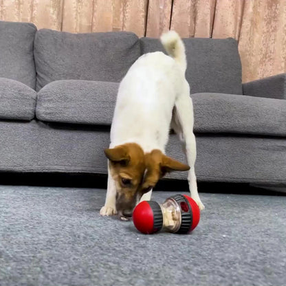 Interactive IQ Dog Toy And Slow Feeder Ball