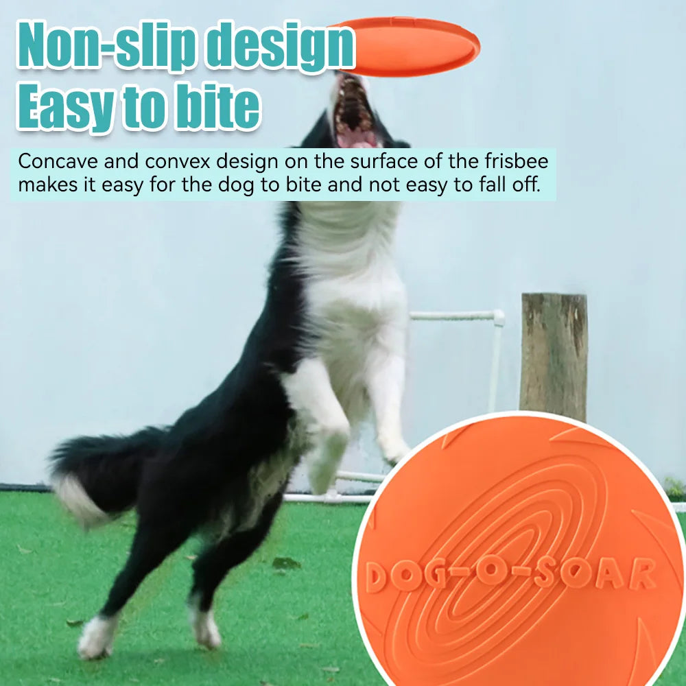 Eco-Friendly Flying Disk Toy